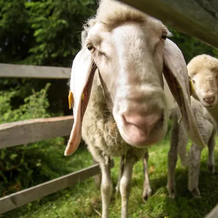 Reinbacher By Interhome *