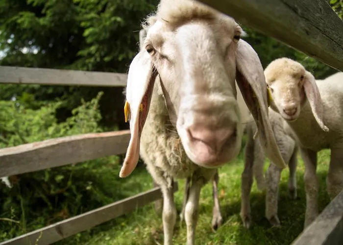 Reinbacher By Interhome *